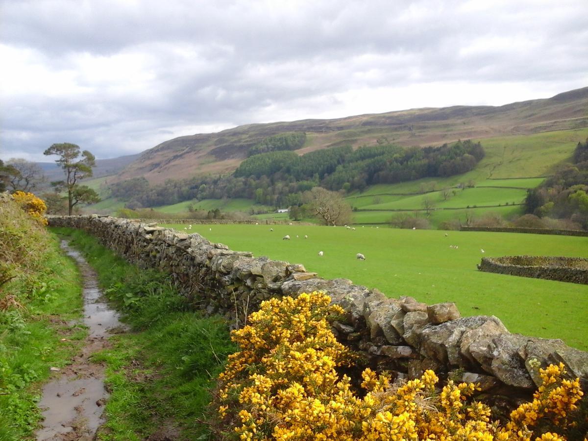 Courtyard Cottage Kirkby Lonsdale Esterno foto